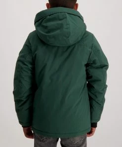 Cars Harrow Winterjacke Jungen Grün -Didriksons-shop Cars Harrow Winterjas Jongens 4 2208230832 1